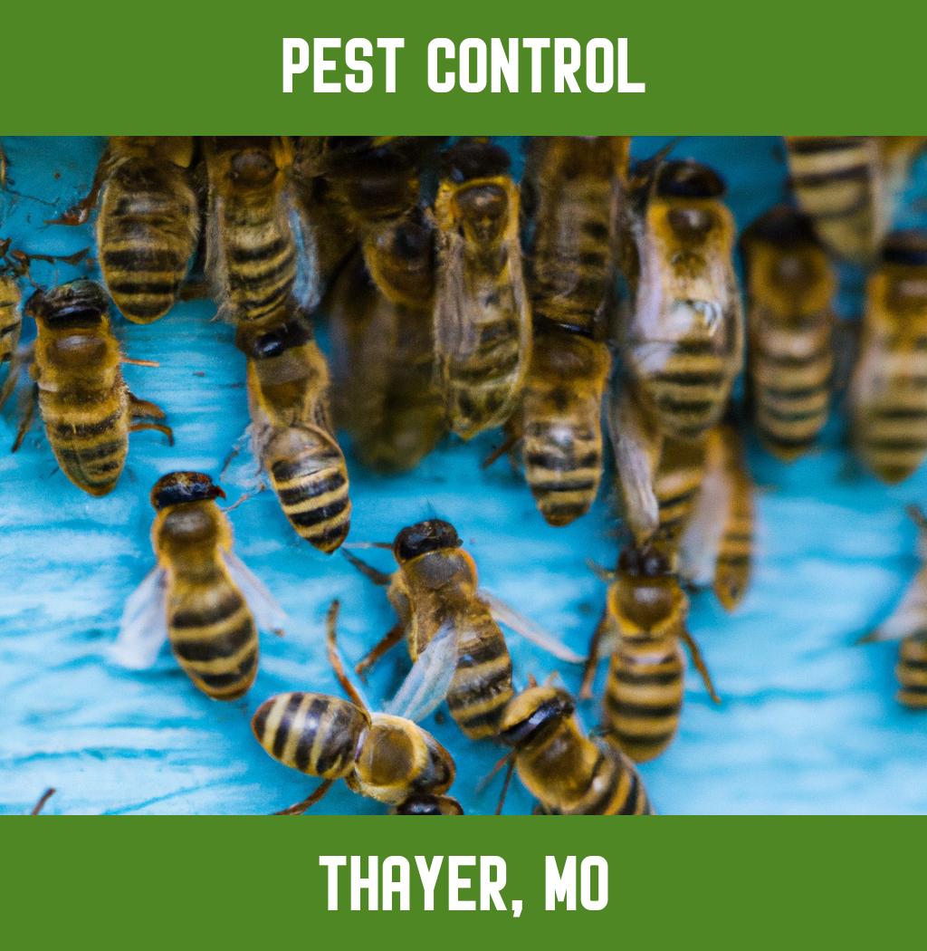 pest control in Thayer Missouri