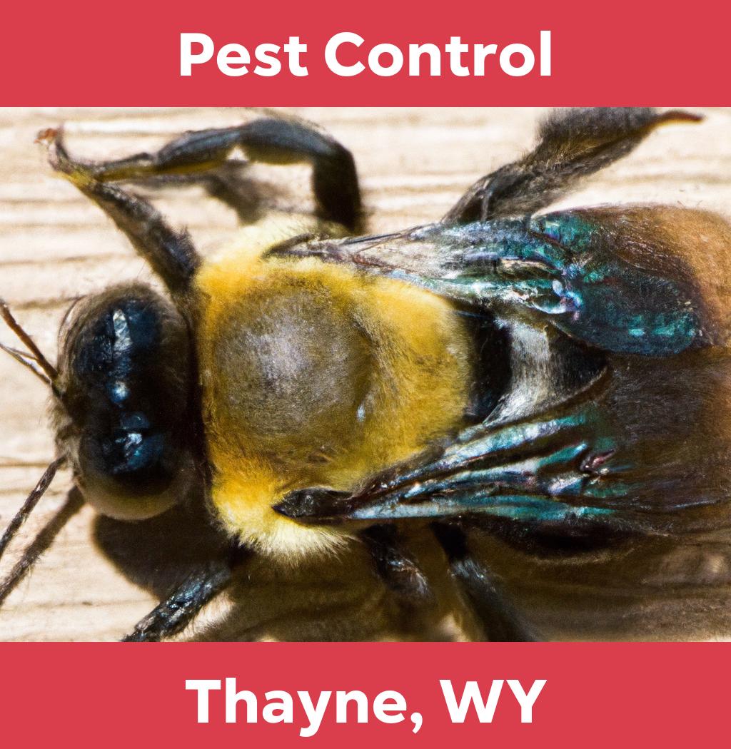 pest control in Thayne Wyoming