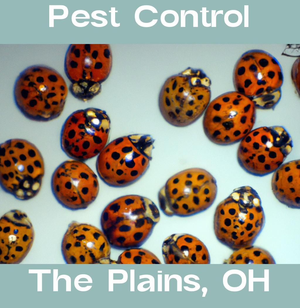 pest control in The Plains Ohio