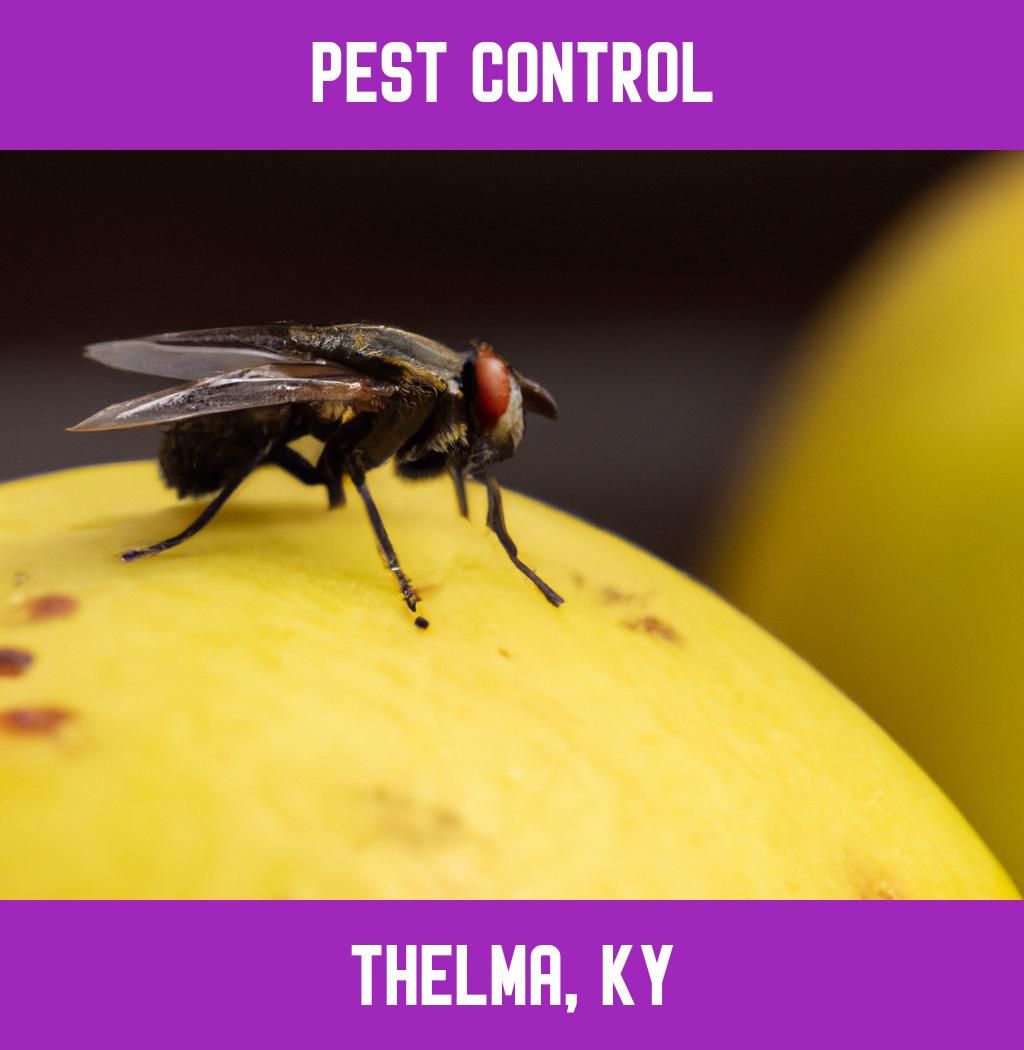 pest control in Thelma Kentucky