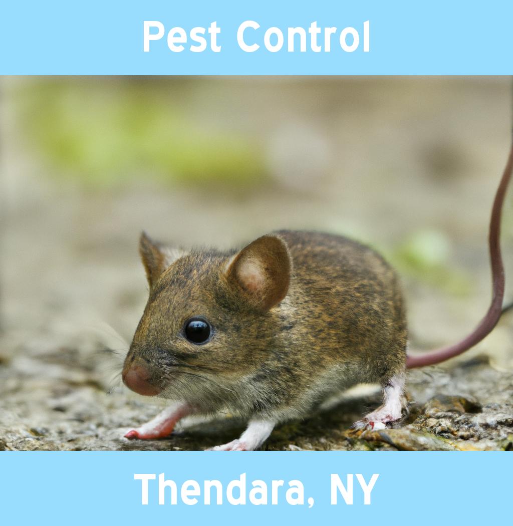 pest control in Thendara New York