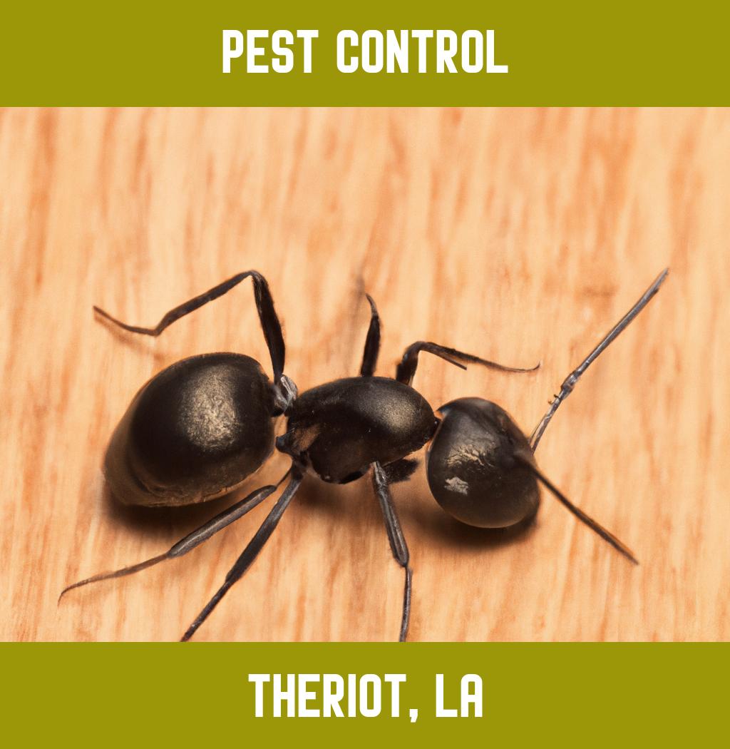 pest control in Theriot Louisiana