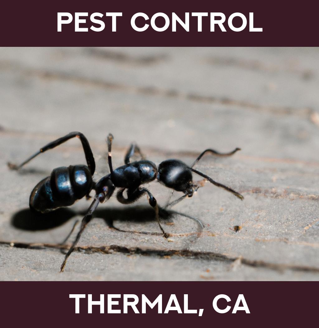 pest control in Thermal California