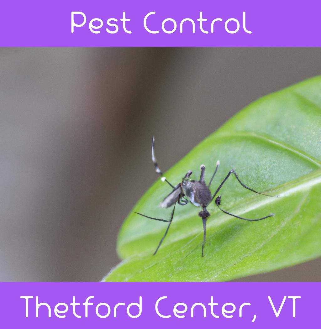 pest control in Thetford Center Vermont