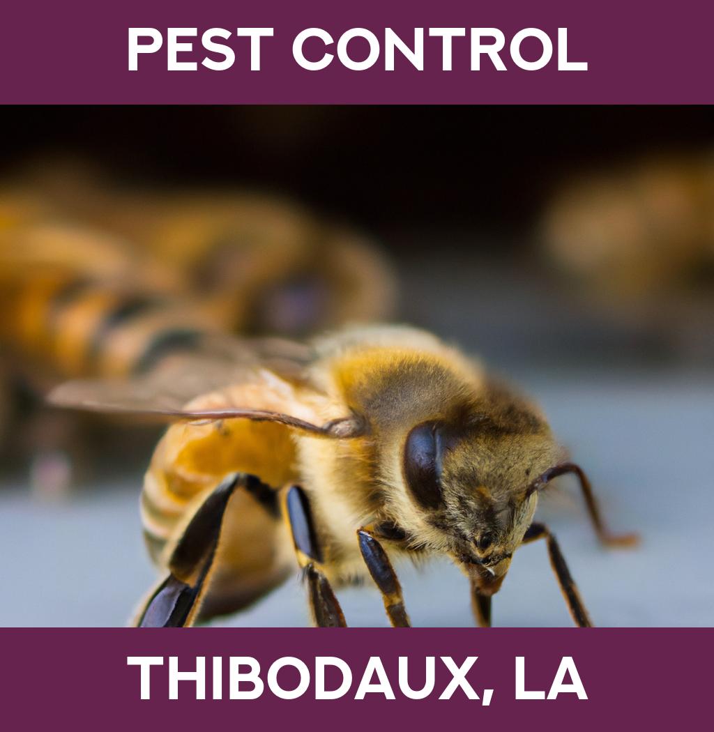 pest control in Thibodaux Louisiana