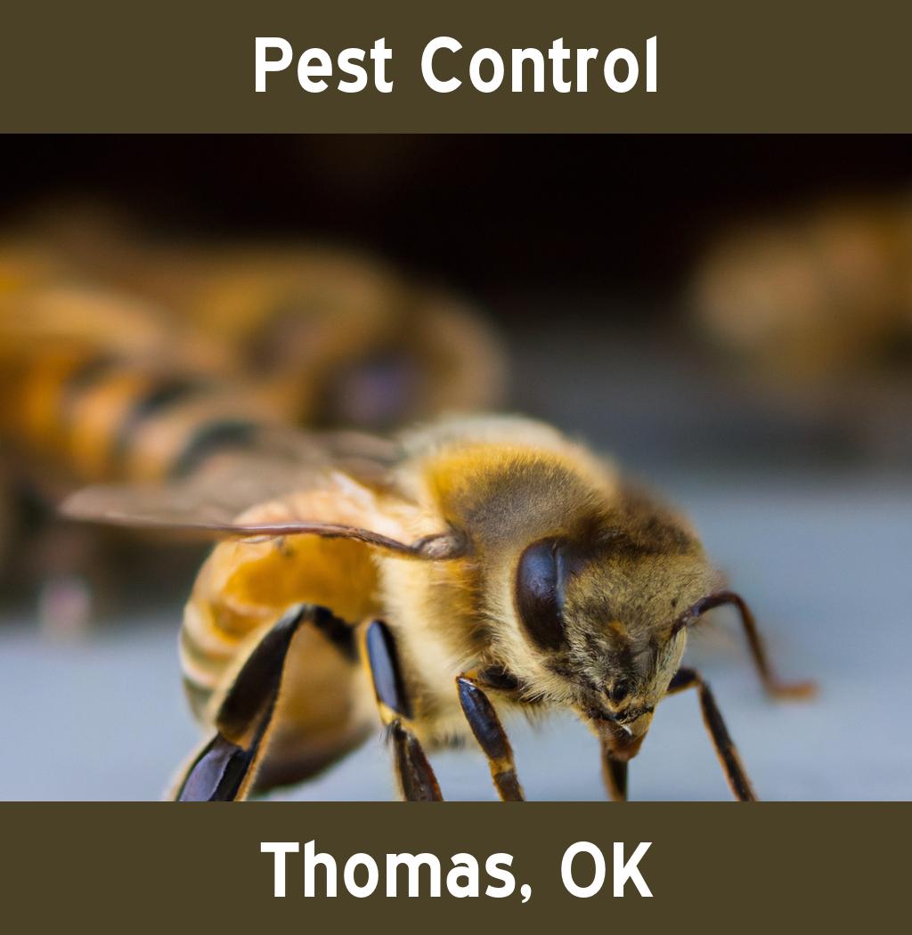 pest control in Thomas Oklahoma