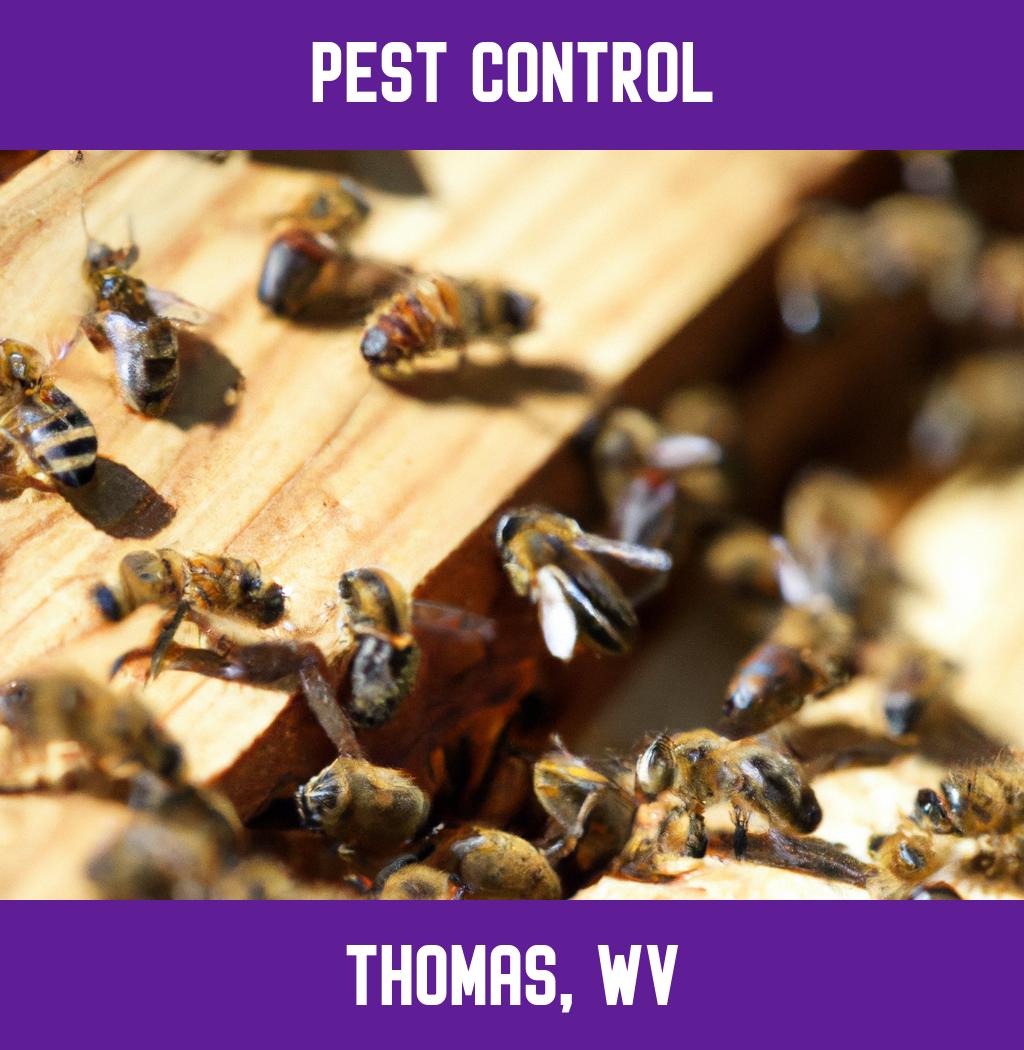 pest control in Thomas West Virginia