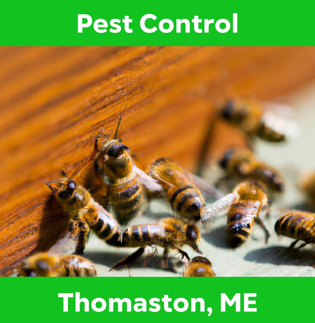pest control in Thomaston Maine