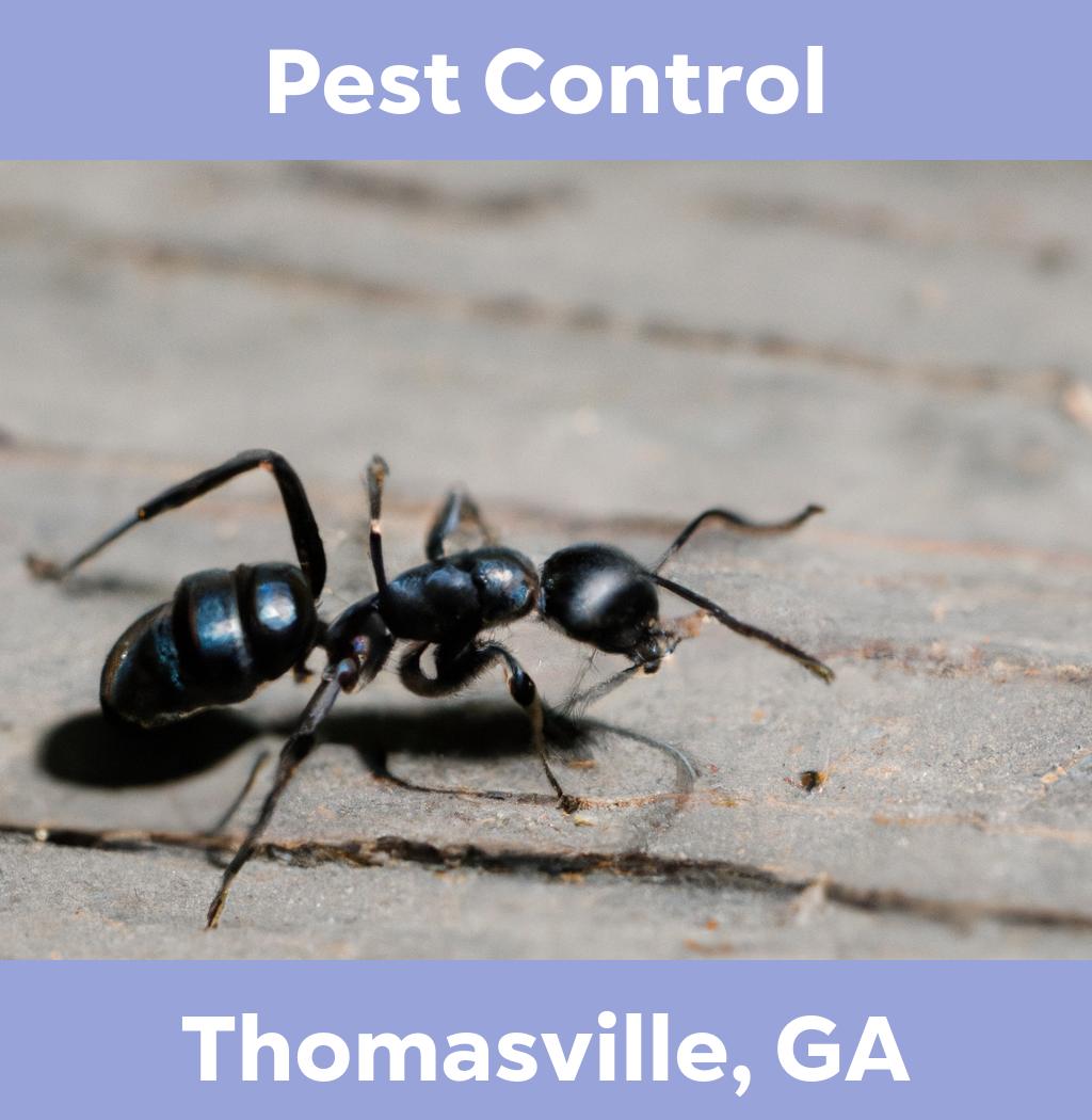 pest control in Thomasville Georgia