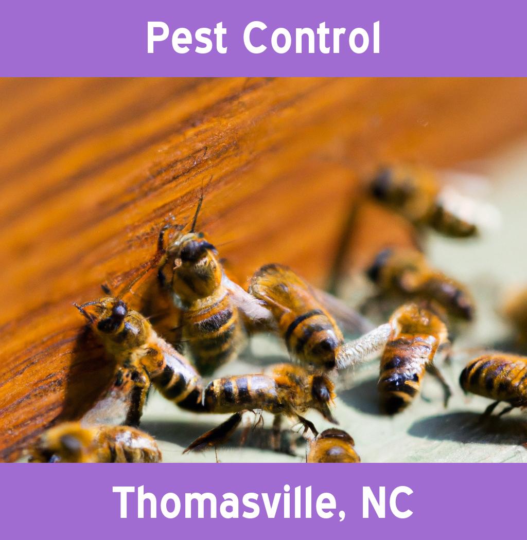 pest control in Thomasville North Carolina