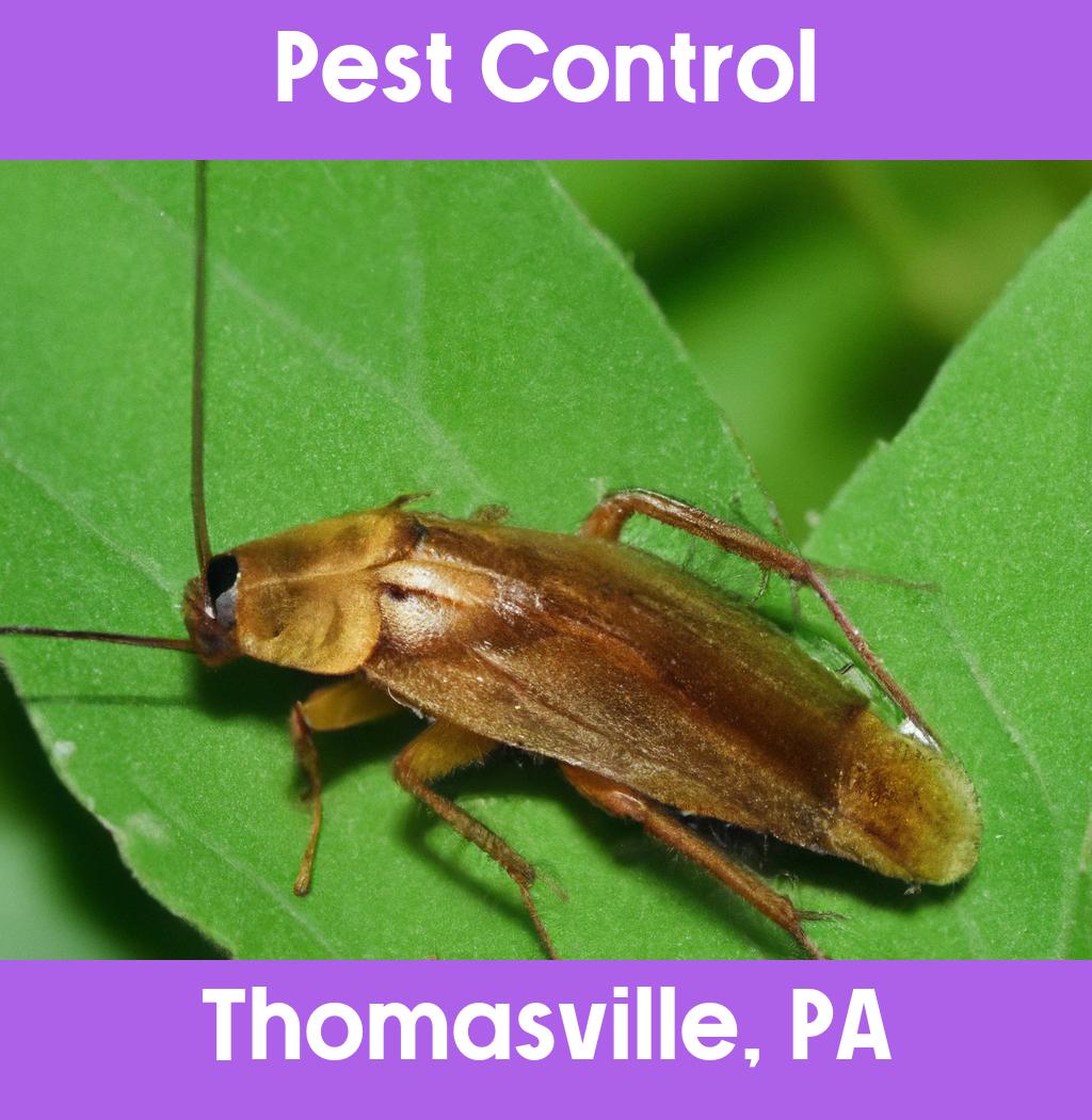 pest control in Thomasville Pennsylvania