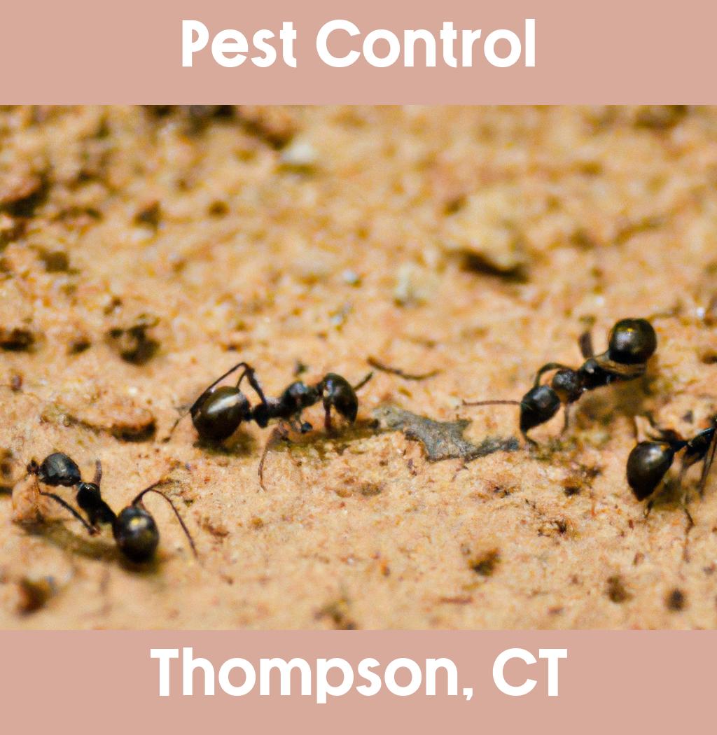 pest control in Thompson Connecticut