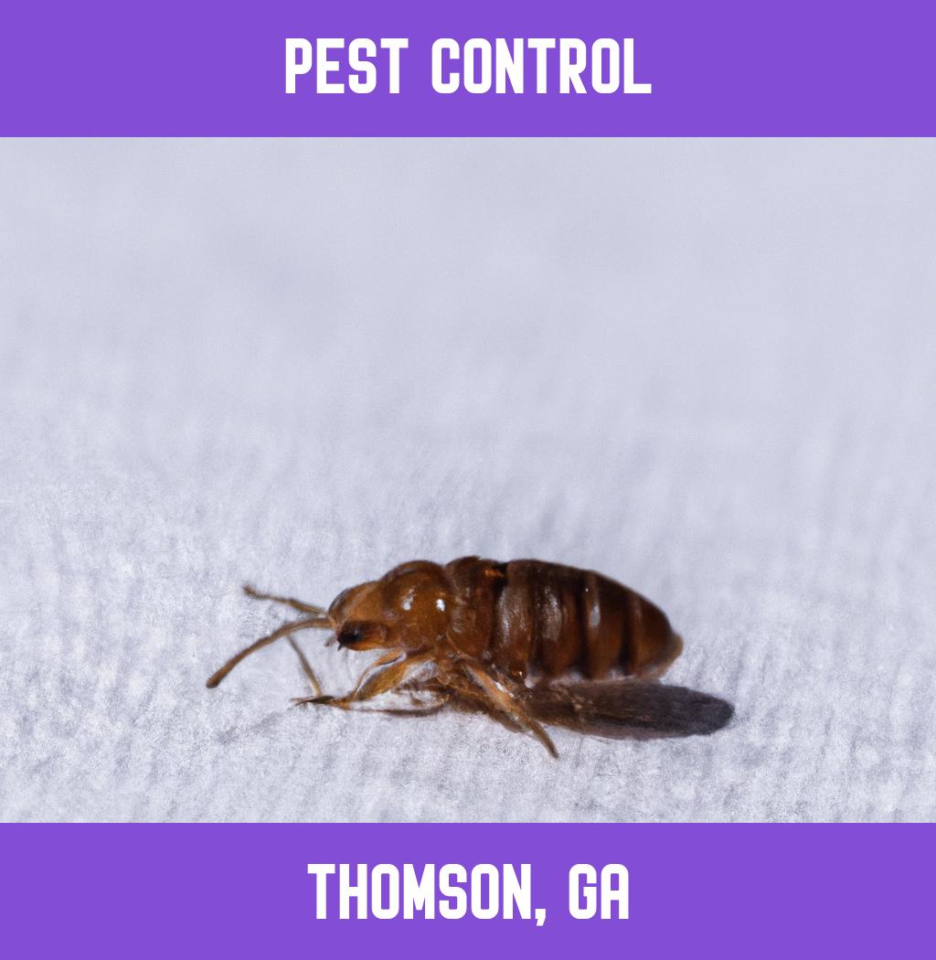 pest control in Thomson Georgia