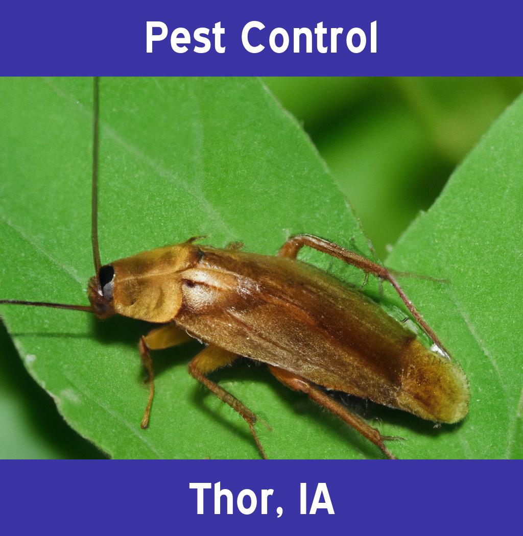 pest control in Thor Iowa