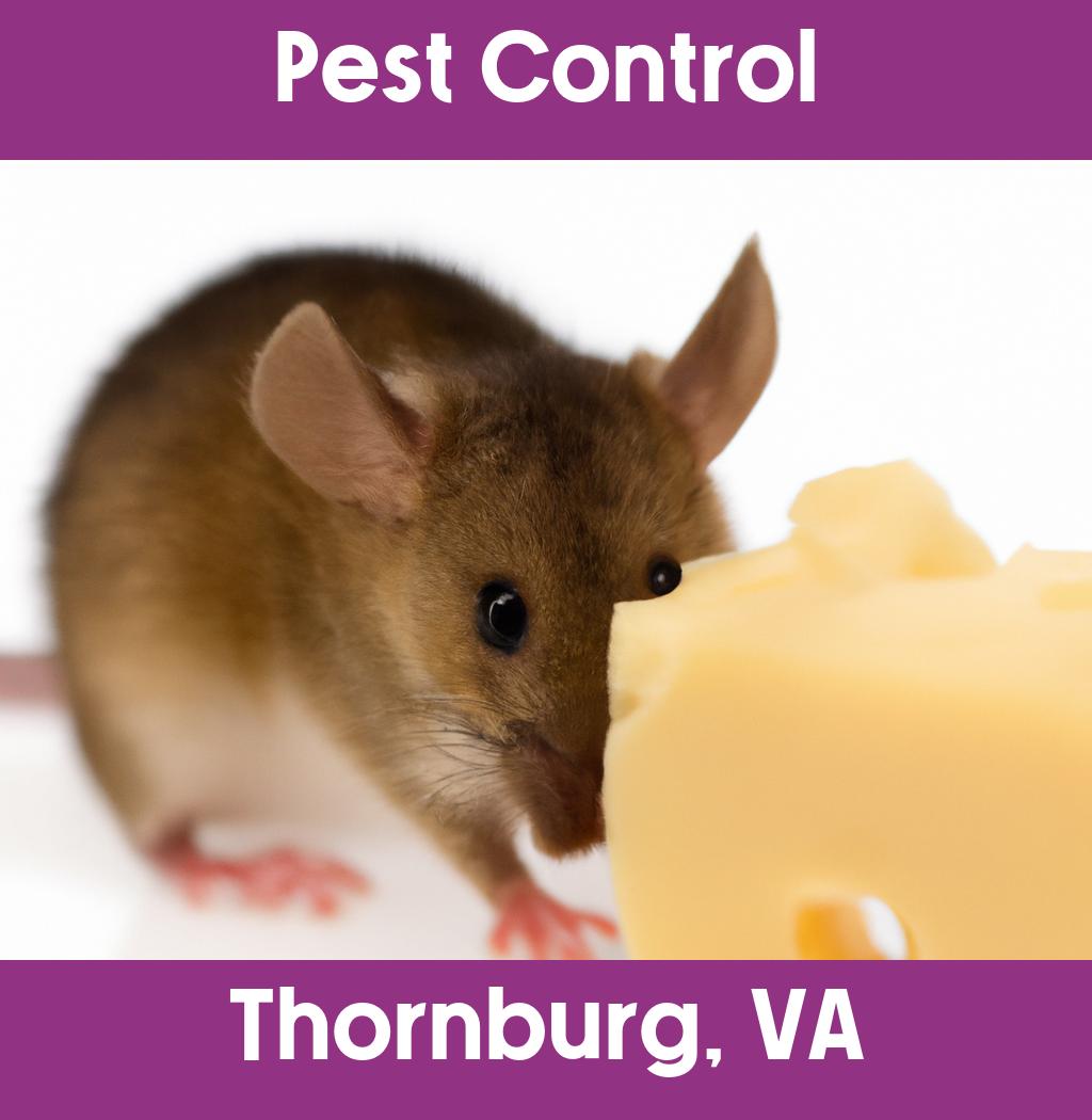 pest control in Thornburg Virginia