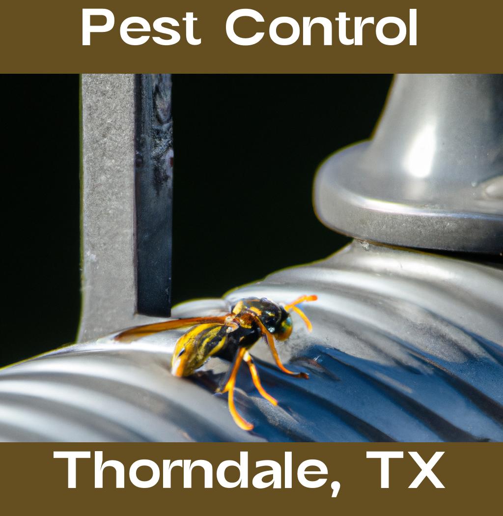 pest control in Thorndale Texas