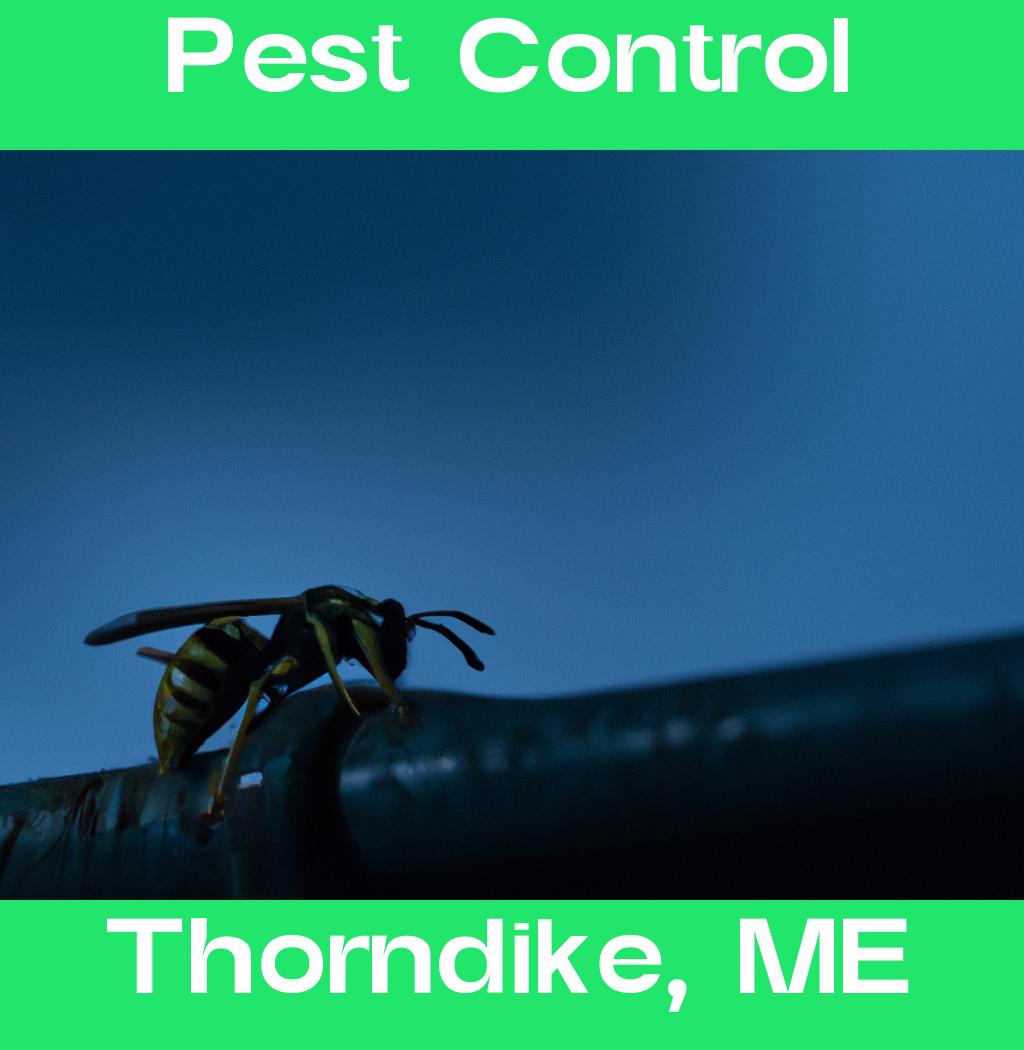 pest control in Thorndike Maine