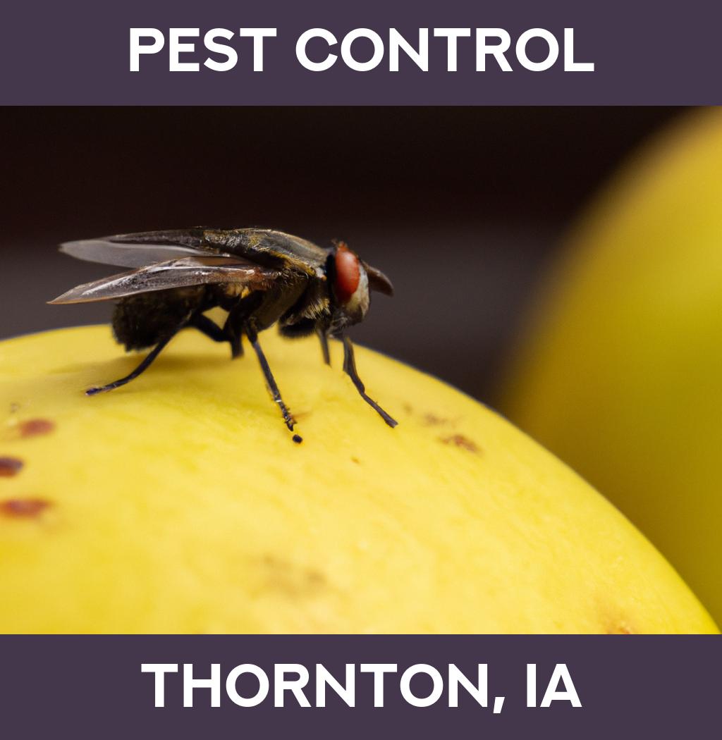 pest control in Thornton Iowa
