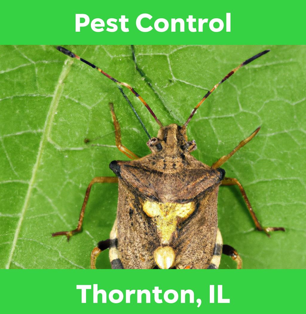 pest control in Thornton Illinois
