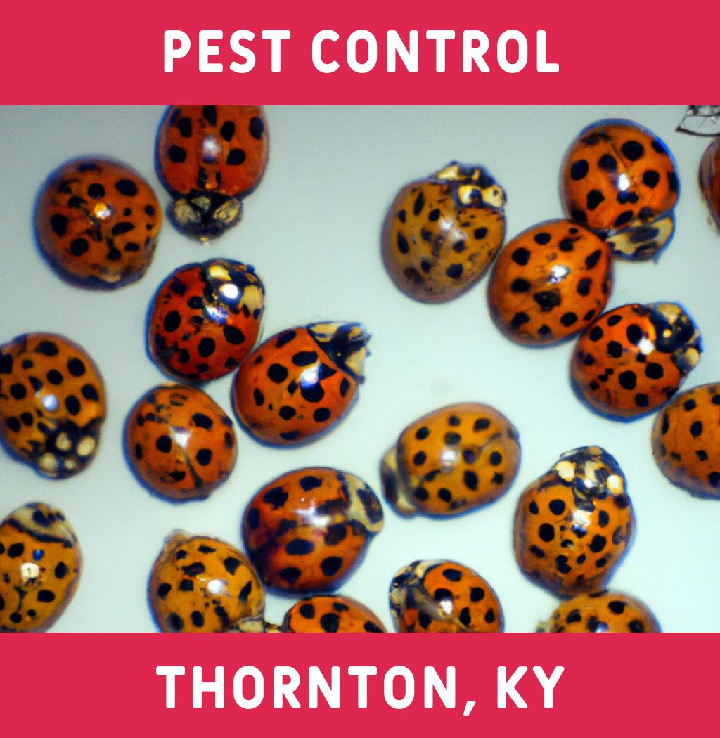 pest control in Thornton Kentucky