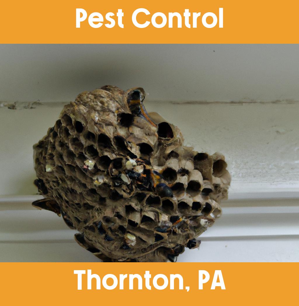 pest control in Thornton Pennsylvania