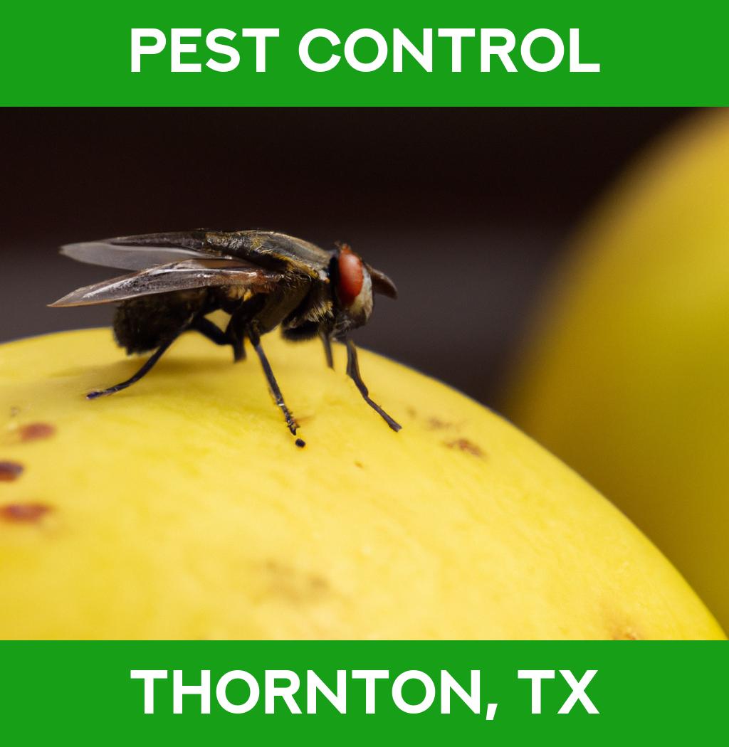 pest control in Thornton Texas