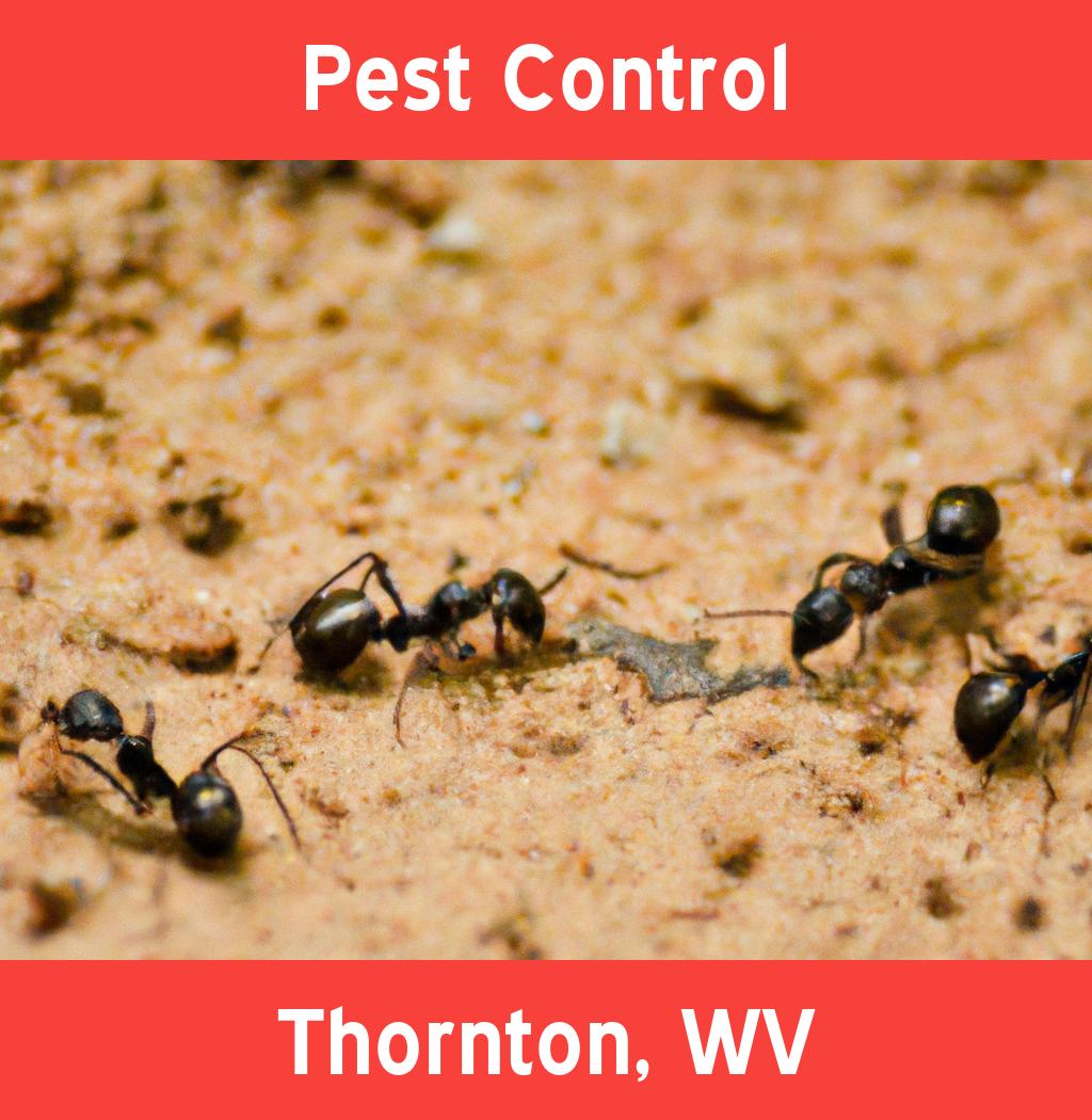 pest control in Thornton West Virginia