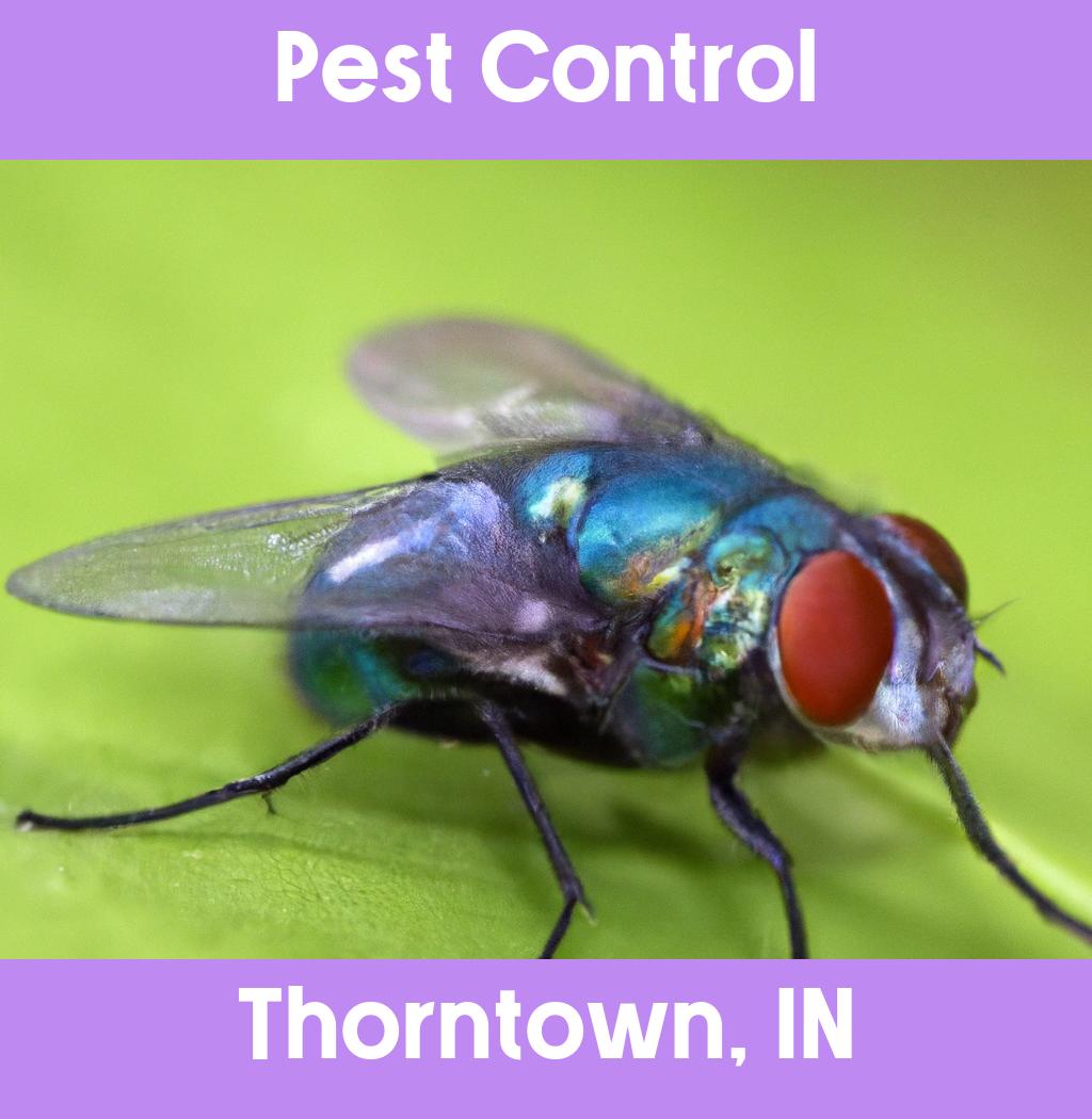 pest control in Thorntown Indiana