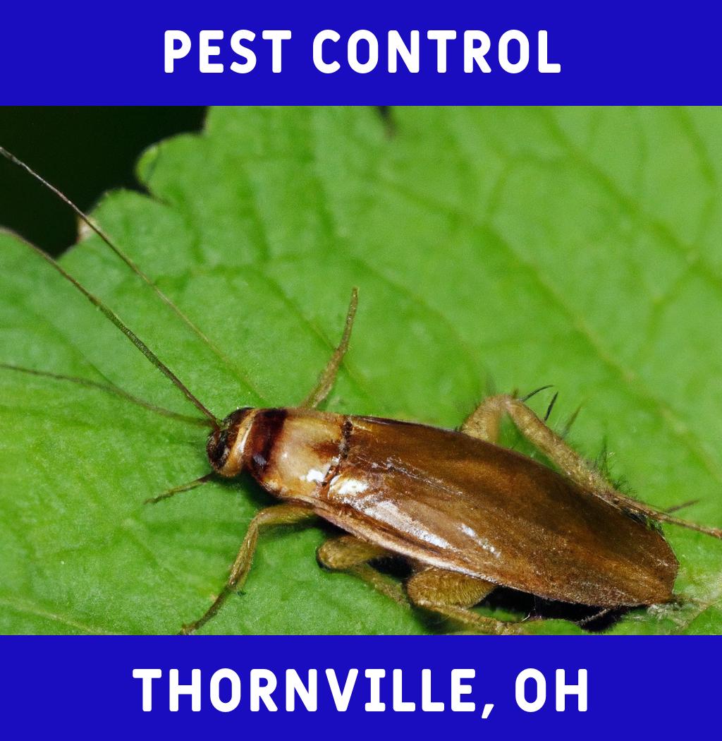pest control in Thornville Ohio