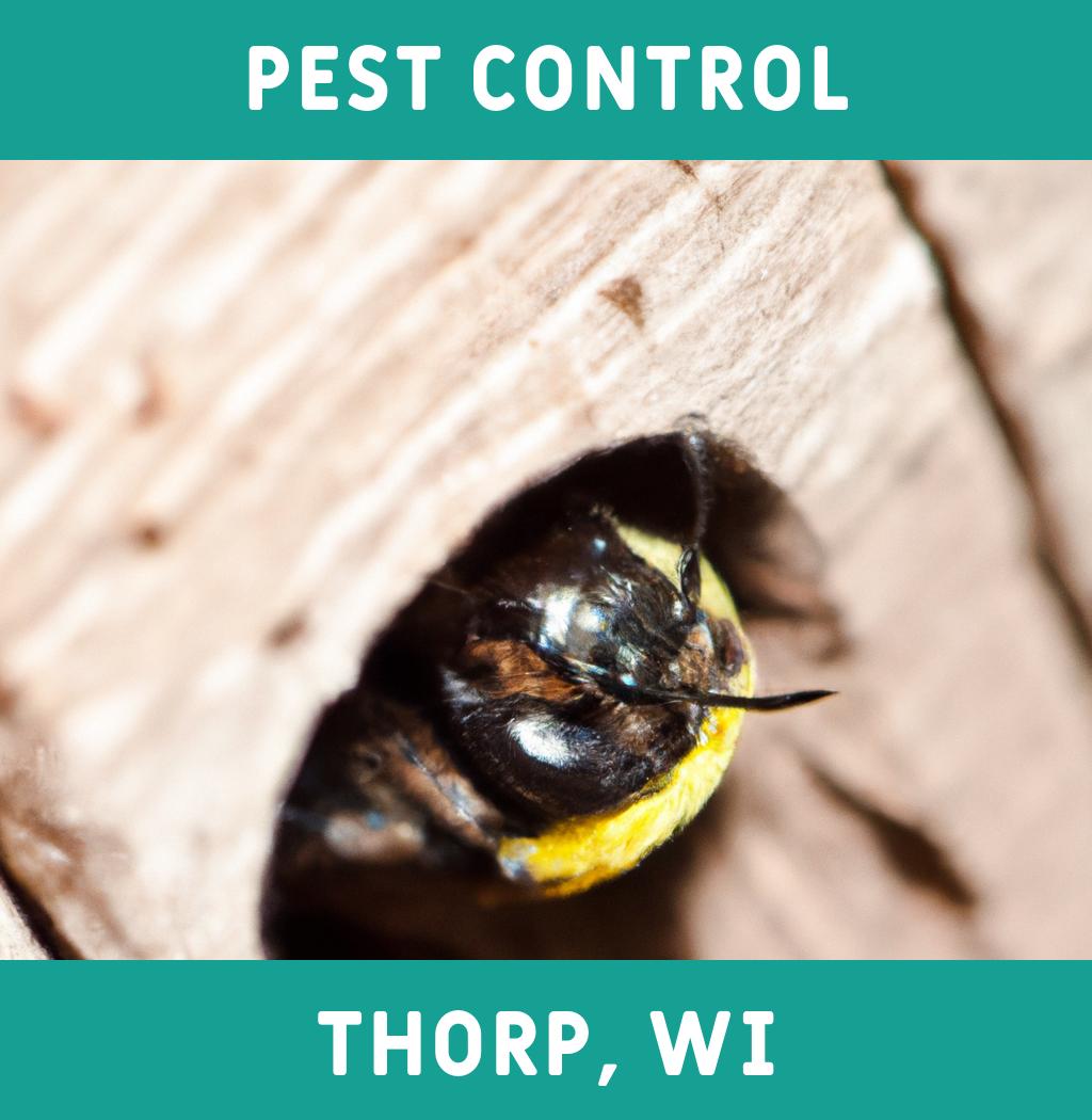 pest control in Thorp Wisconsin