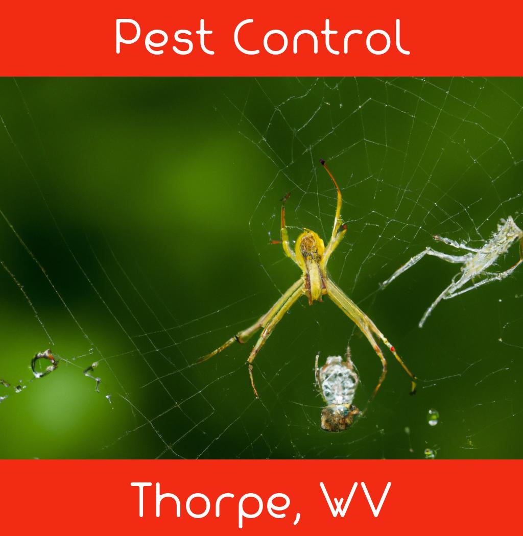 pest control in Thorpe West Virginia