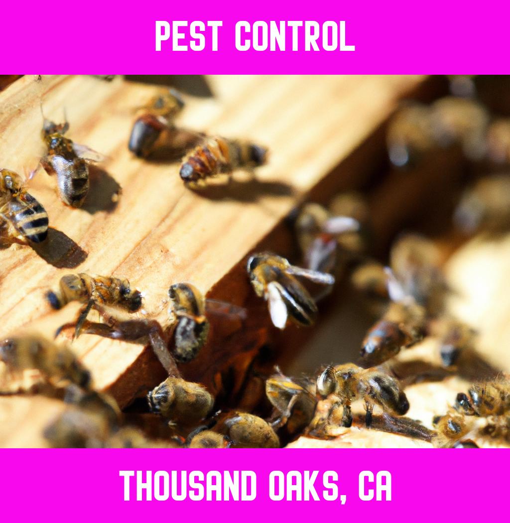 pest control in Thousand Oaks California