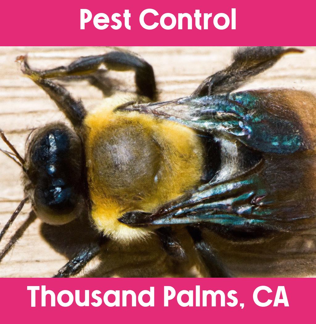 pest control in Thousand Palms California