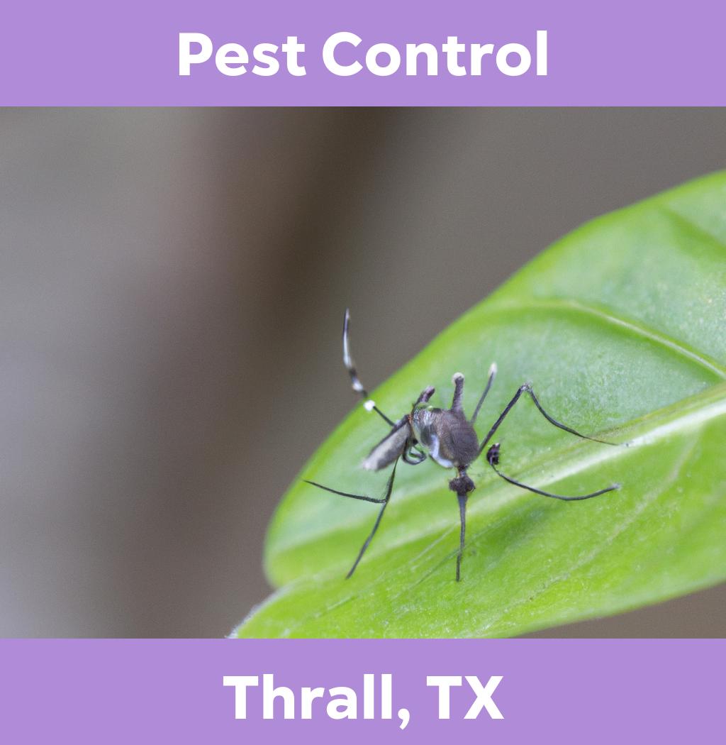 pest control in Thrall Texas