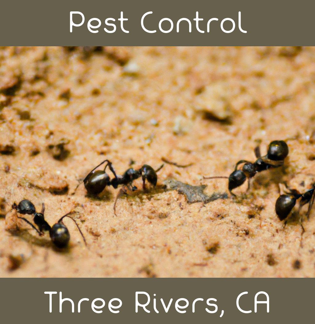pest control in Three Rivers California