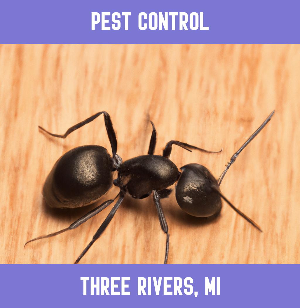 pest control in Three Rivers Michigan