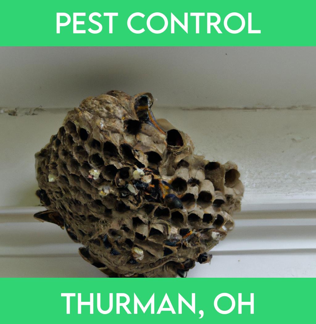pest control in Thurman Ohio