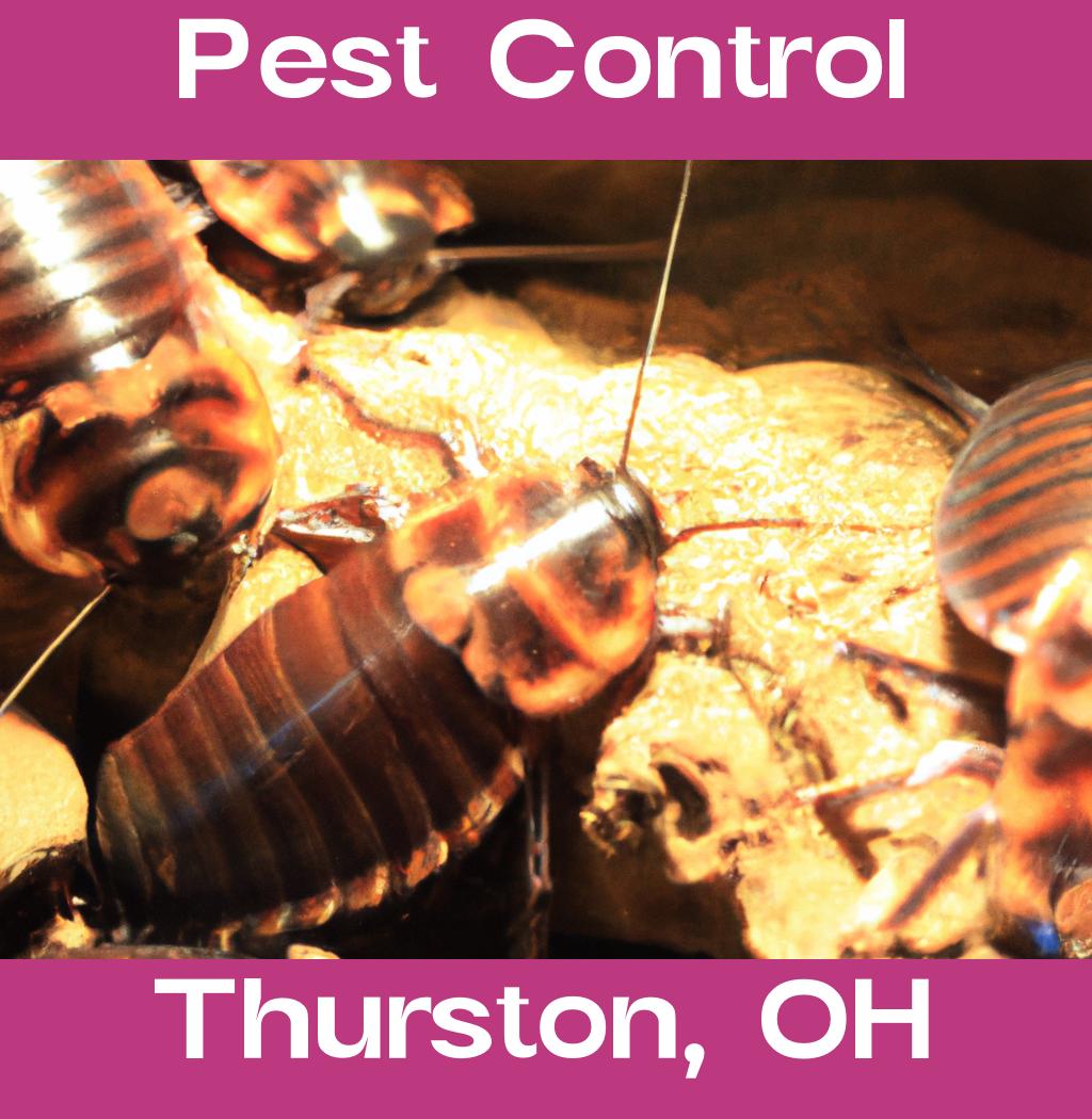 pest control in Thurston Ohio