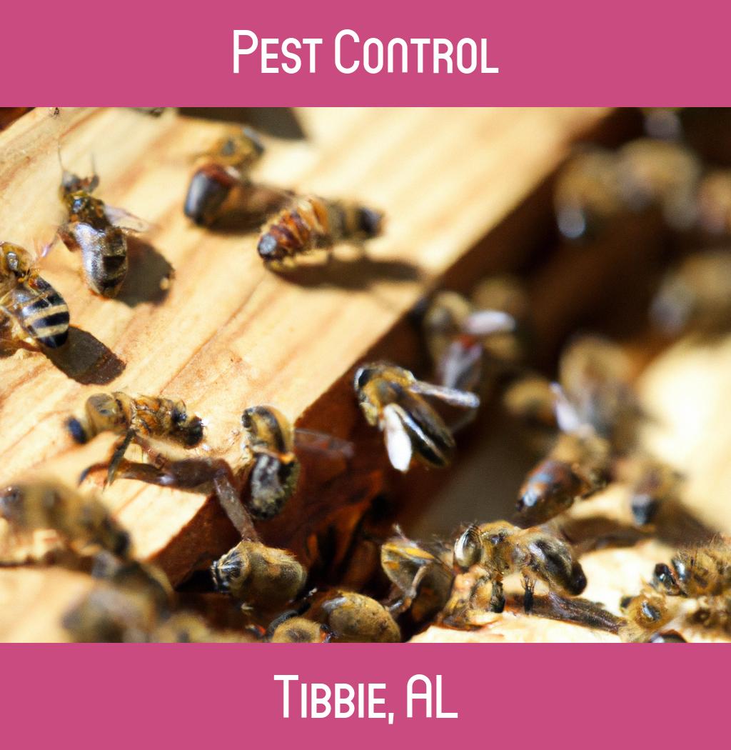 pest control in Tibbie Alabama