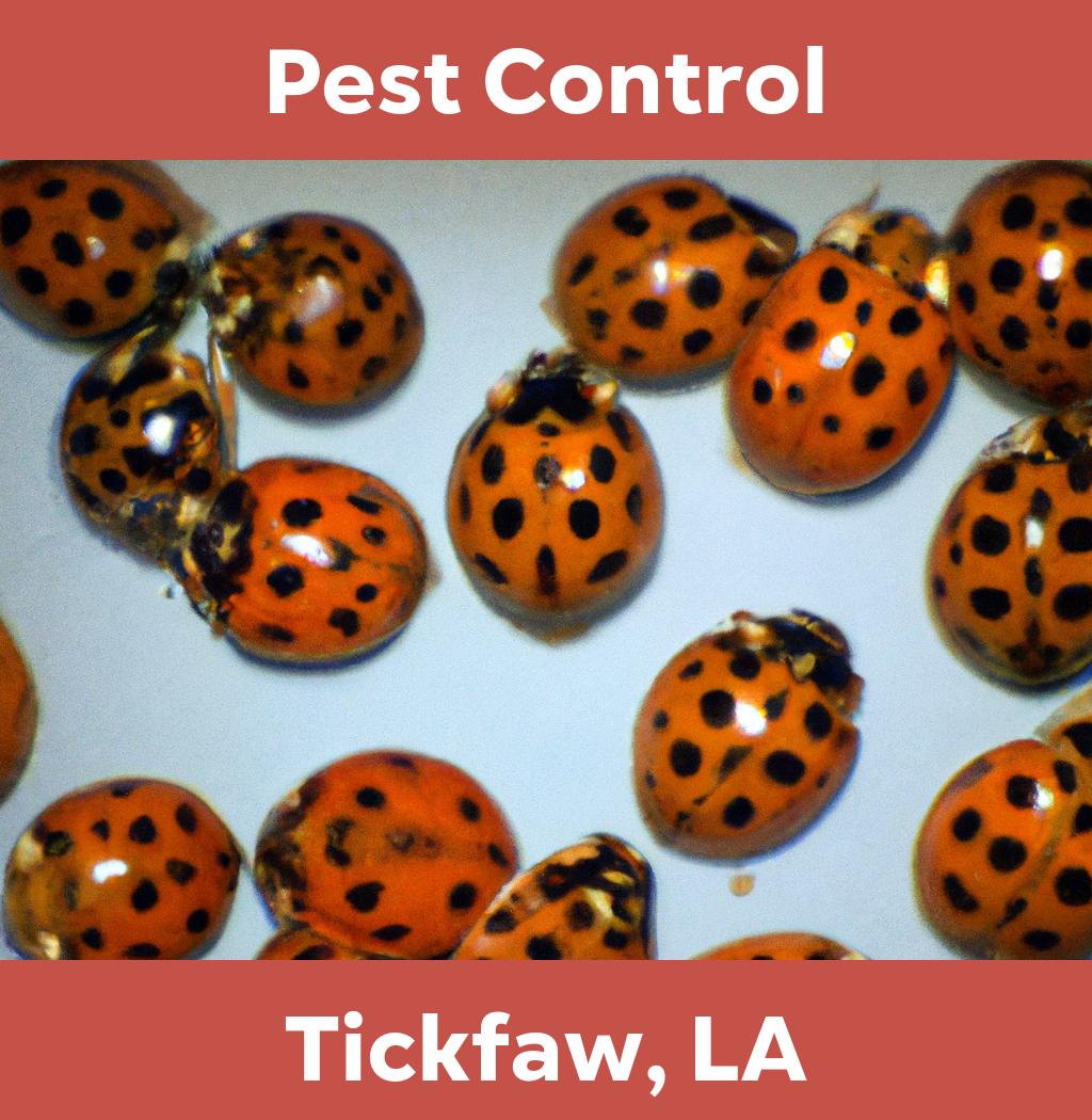 pest control in Tickfaw Louisiana