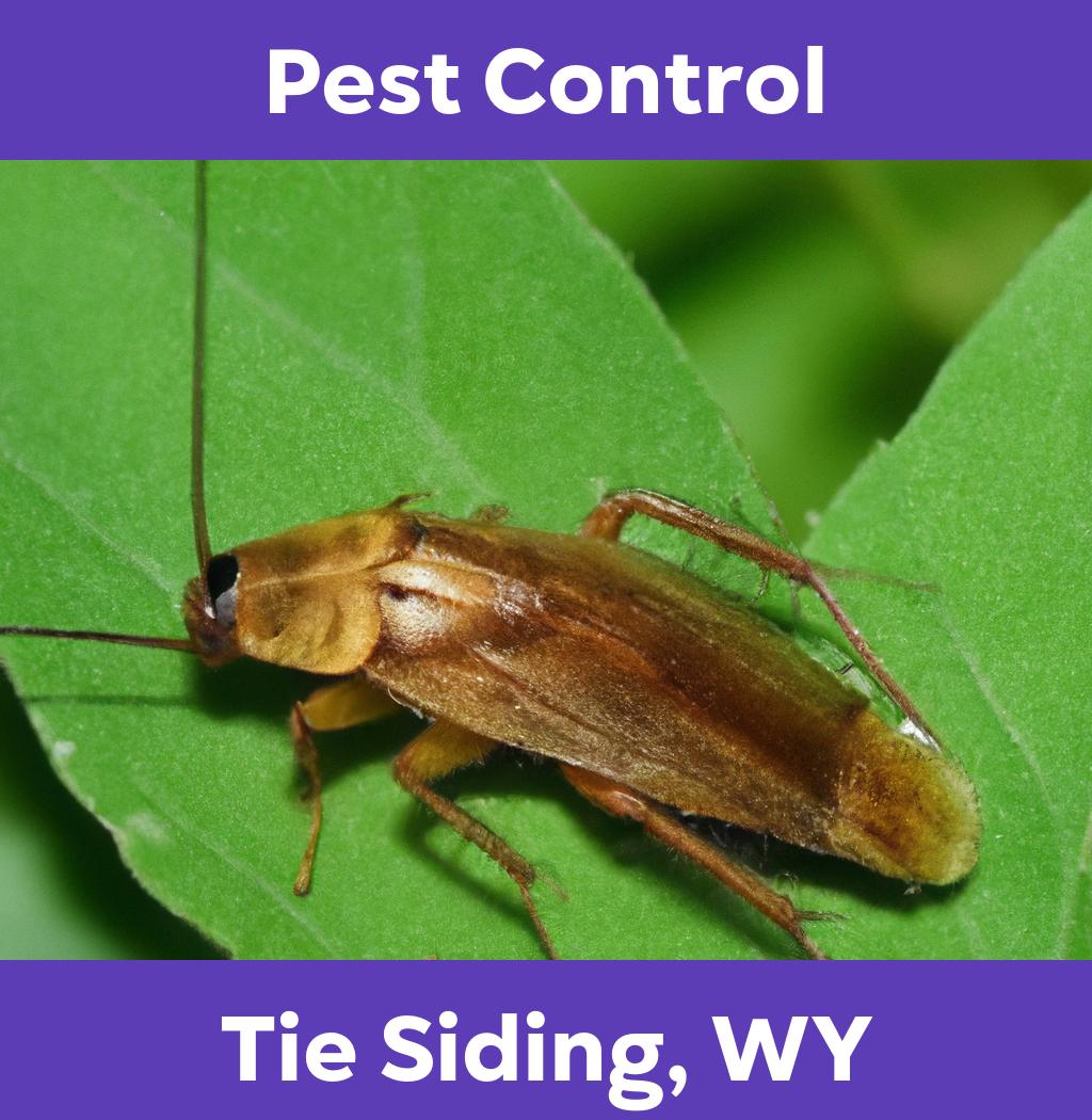 pest control in Tie Siding Wyoming