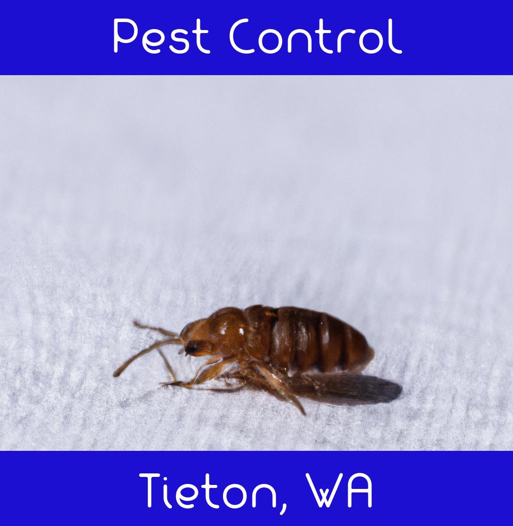 pest control in Tieton Washington