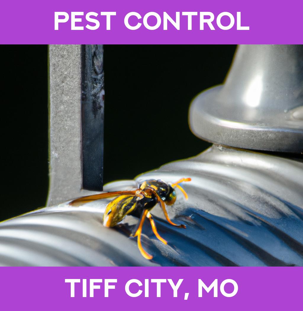 pest control in Tiff City Missouri