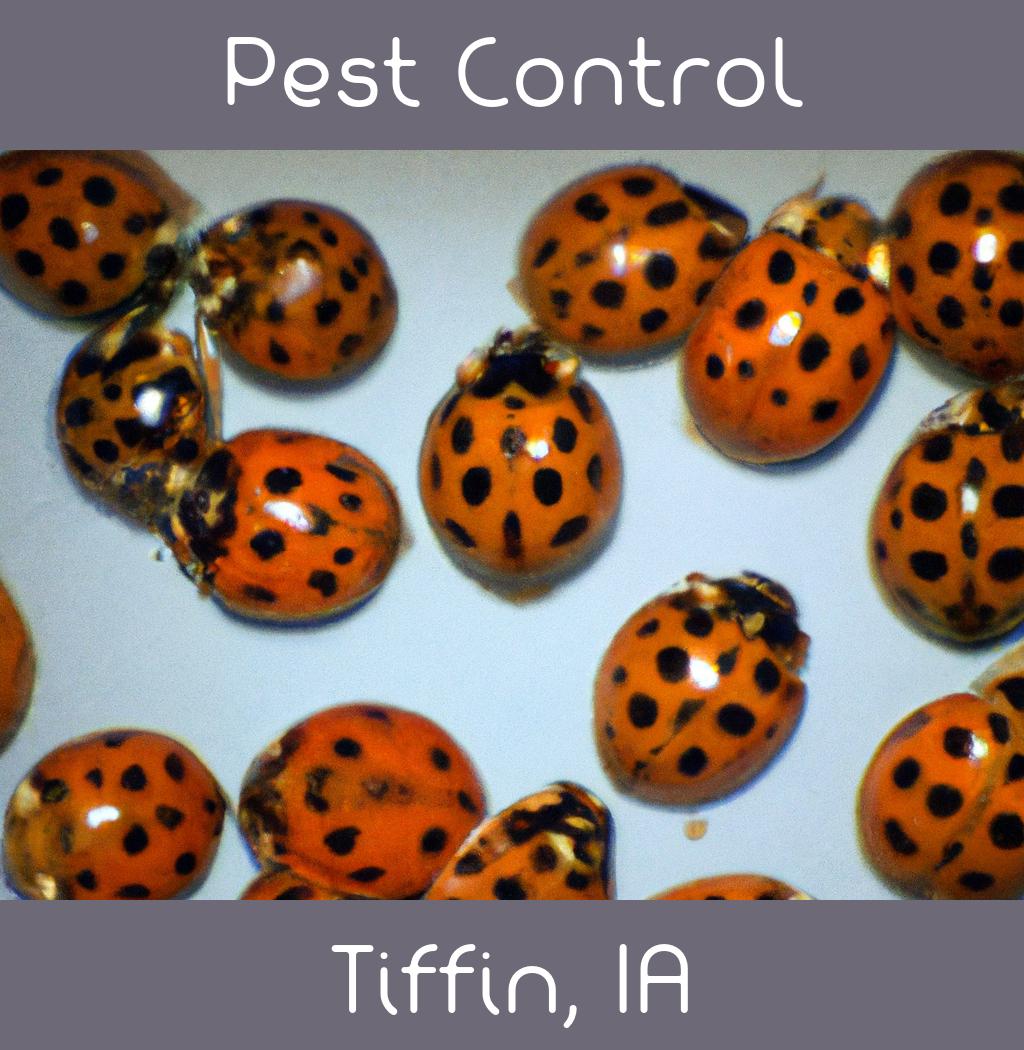 pest control in Tiffin Iowa