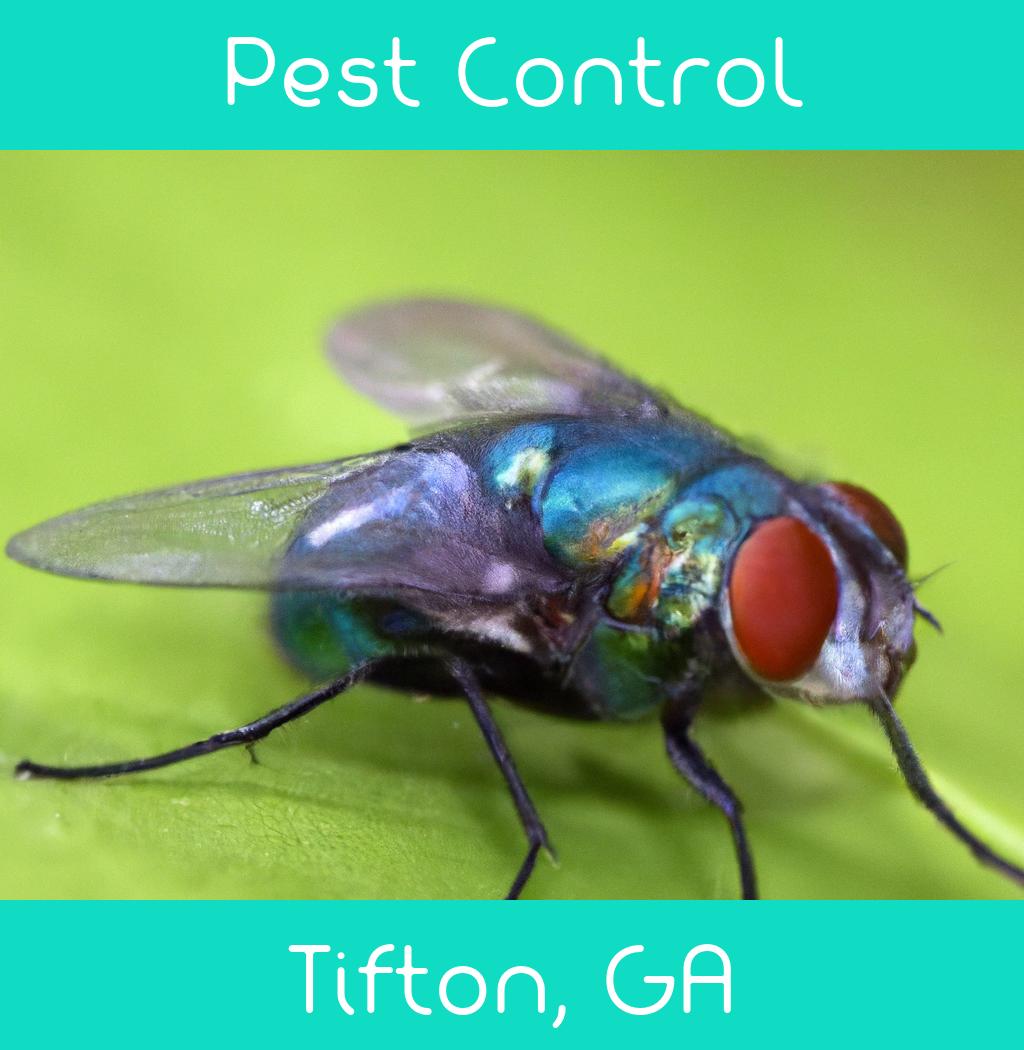 pest control in Tifton Georgia