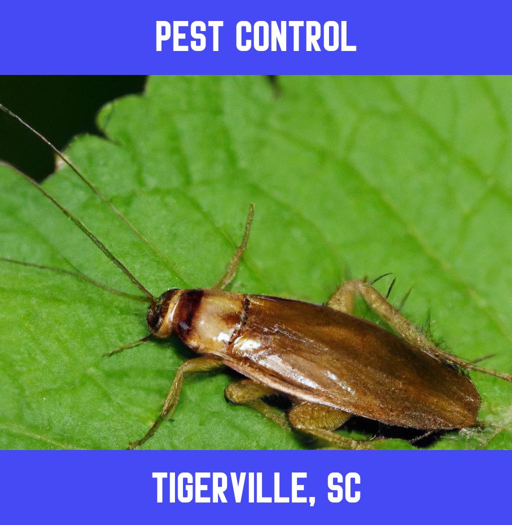 pest control in Tigerville South Carolina