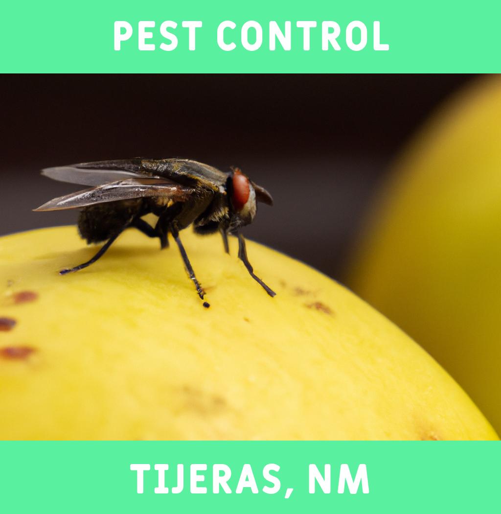 pest control in Tijeras New Mexico