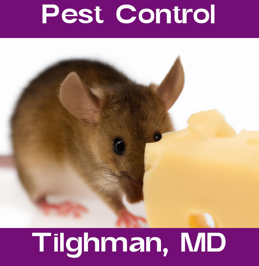 pest control in Tilghman Maryland
