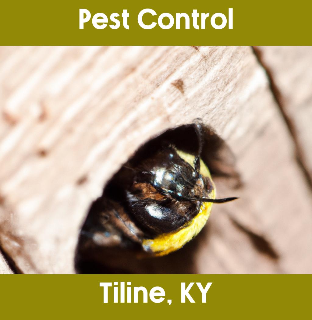 pest control in Tiline Kentucky