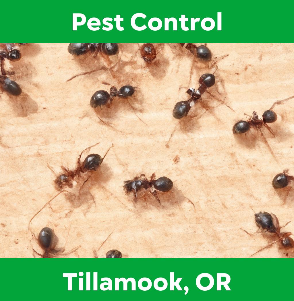 pest control in Tillamook Oregon